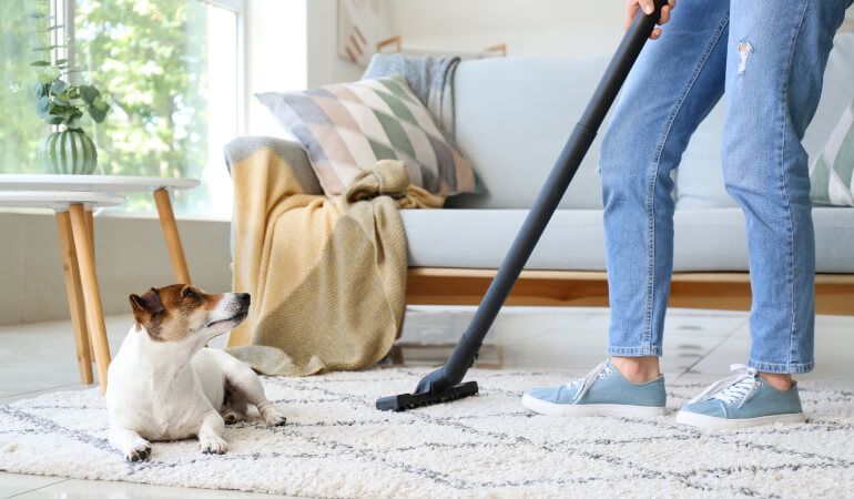 The Ultimate Guide to House Cleaning University Park TX: Why Professional Maid Services Are Worth It